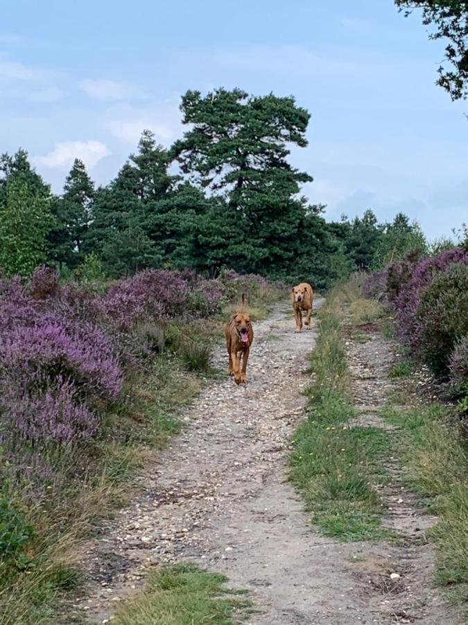 Bed and Breakfast Haarles Landleven Esterno foto