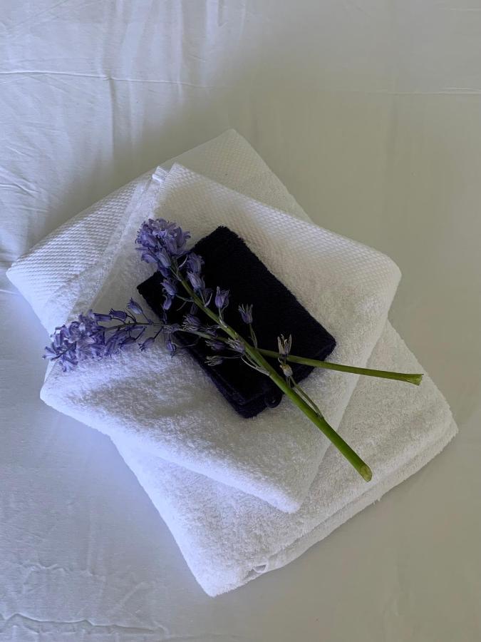Bed and Breakfast Haarles Landleven Esterno foto